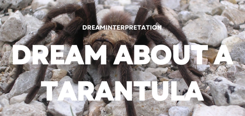 spiritual meaning of tarantula in a dream