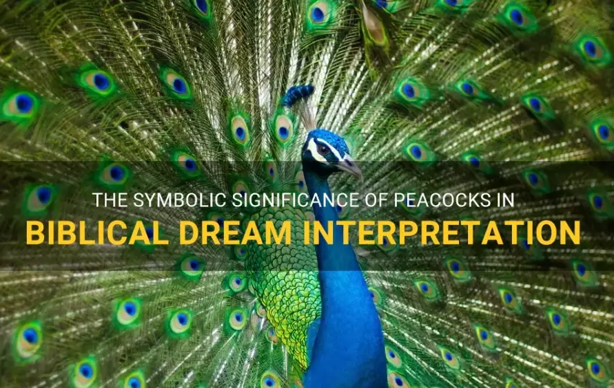 peacock dream meaning