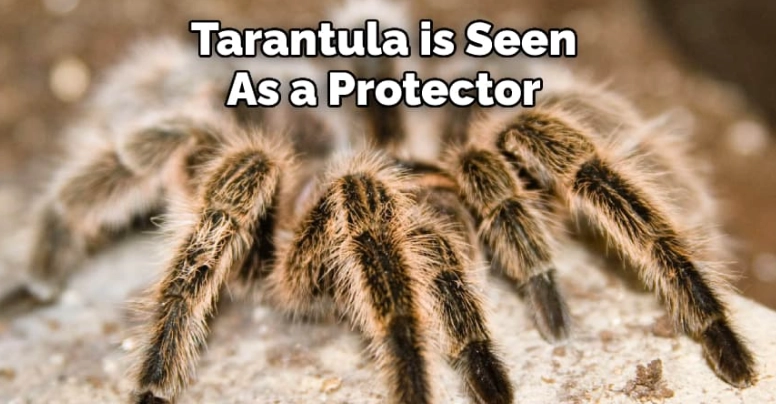 tarantula spiritual meaning