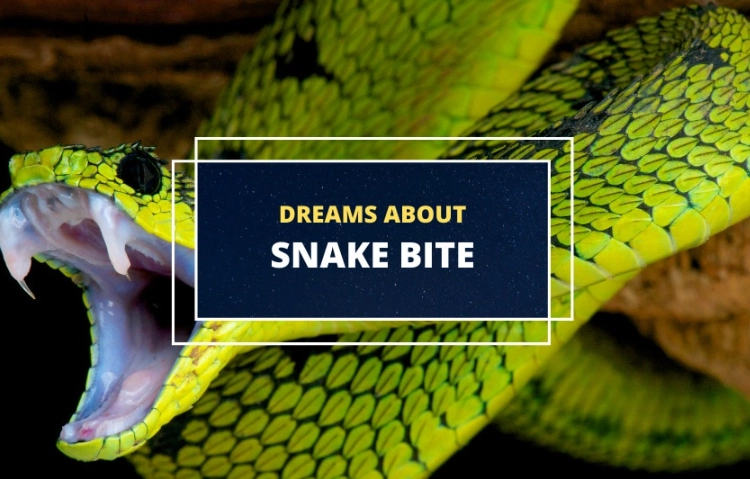 snake bite dream interpretation
