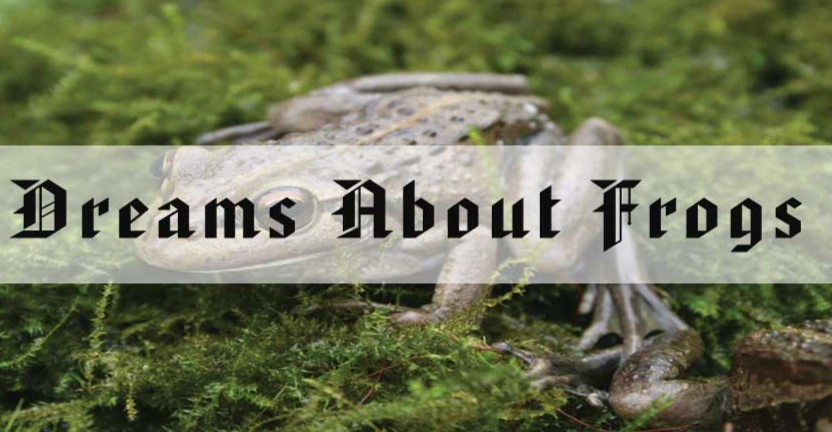 what does it mean to dream of frogs what does it mean to dream of frogs
