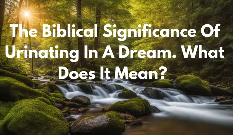 urinating in dream meaning urinating in dream meaning