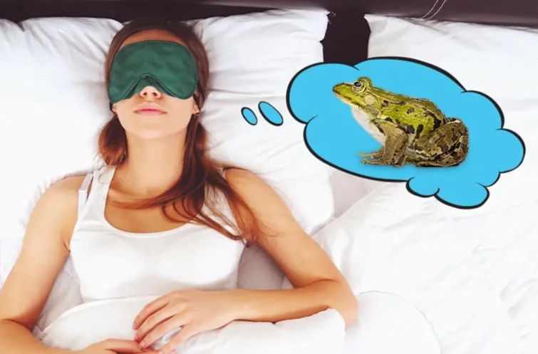 dream about a frog meaning dream about a frog meaning