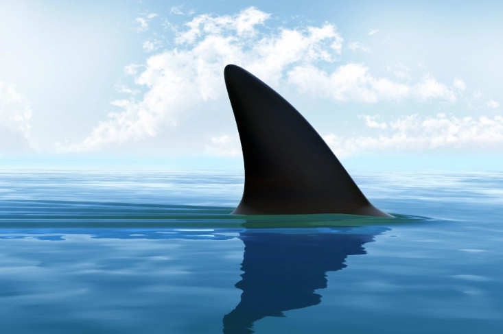 dream of shark attack