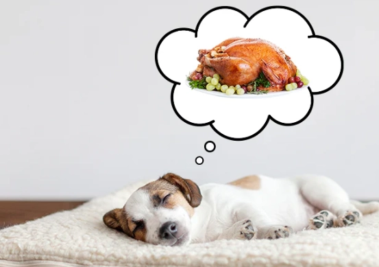 dream about puppy dog meaning