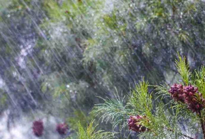 dream of rain meaning