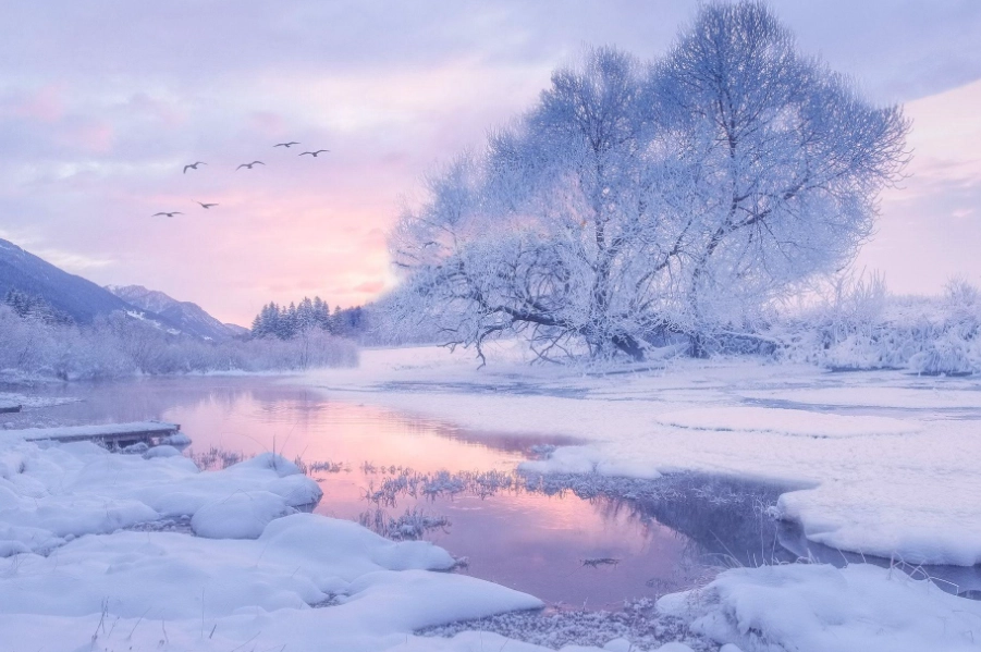 snow dream interpretation snow dream interpretation