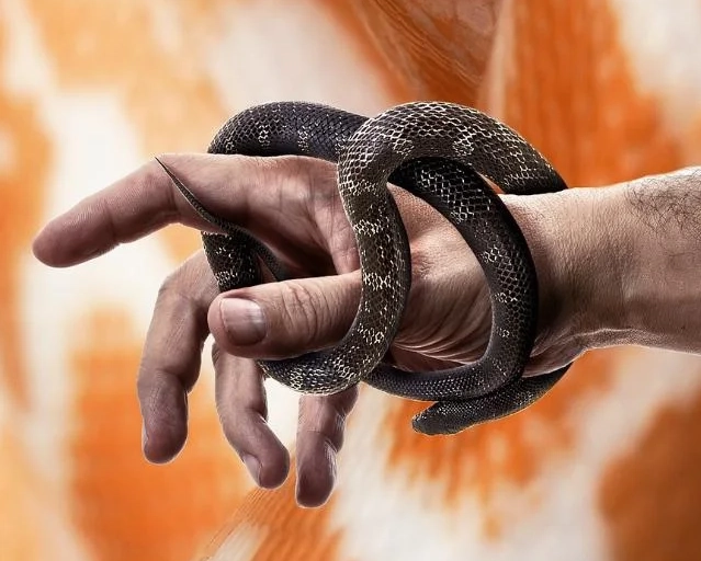 killing snake dream meaning