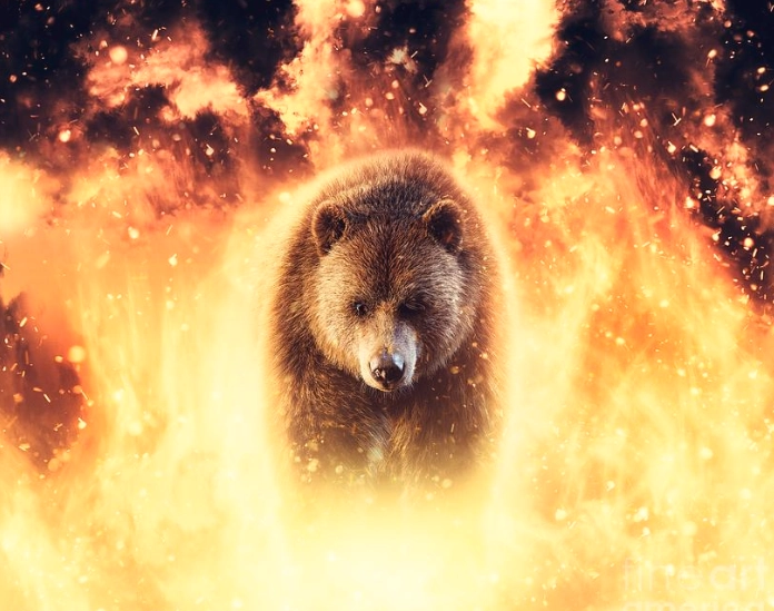 bear attacking in dream meaning bear attacking in dream meaning