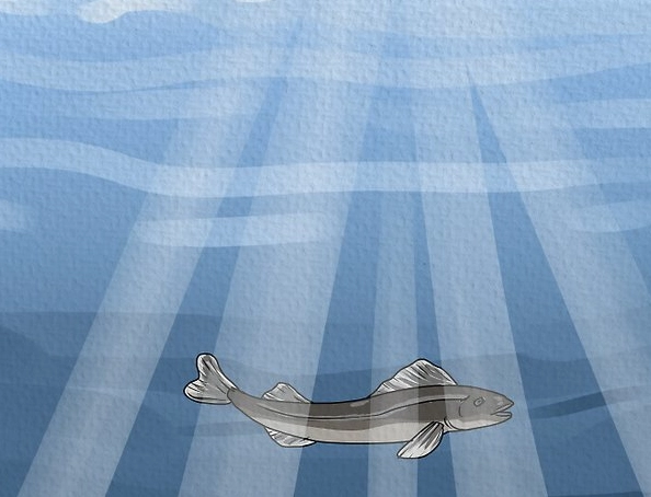 dead fish in dream spiritual meaning