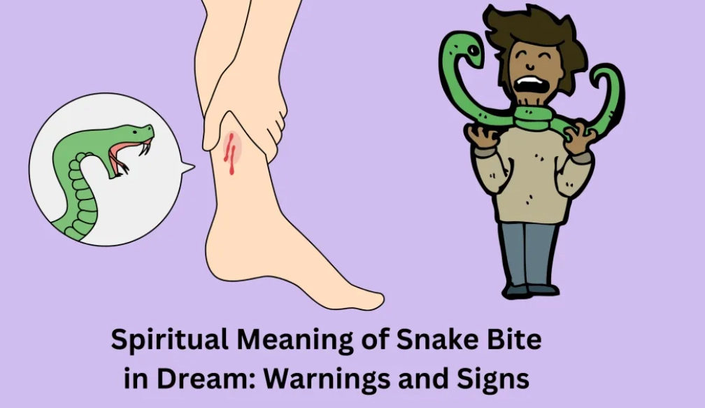 what does it mean to dream of being bitten by a snake