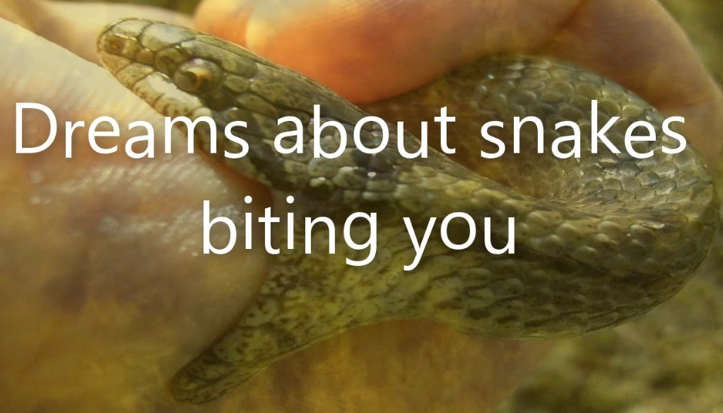 what does it mean to dream of being bitten by a snake