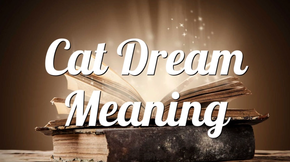 dream interpretation cat