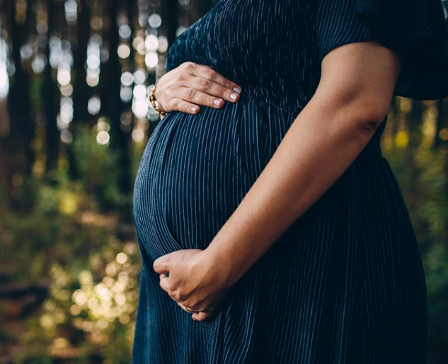 pregnancy dream dictionary