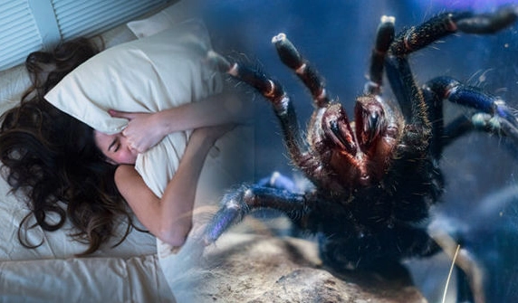 what does it mean to dream about spiders