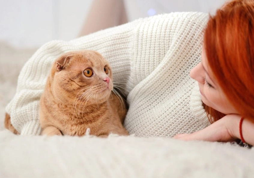 white cat dream meaning