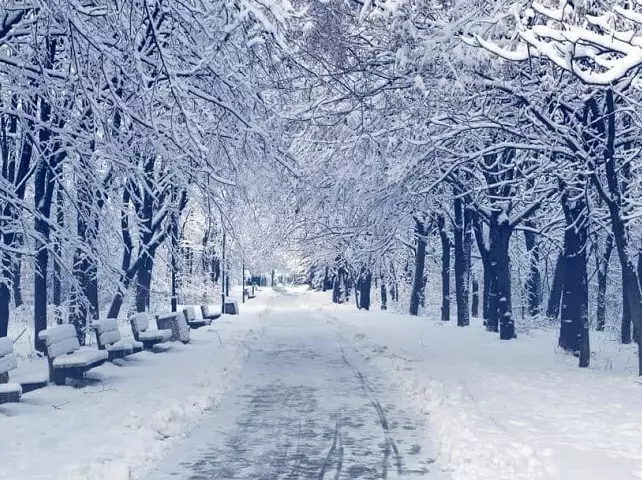 what does snow symbolize in dreams what does snow symbolize in dreams