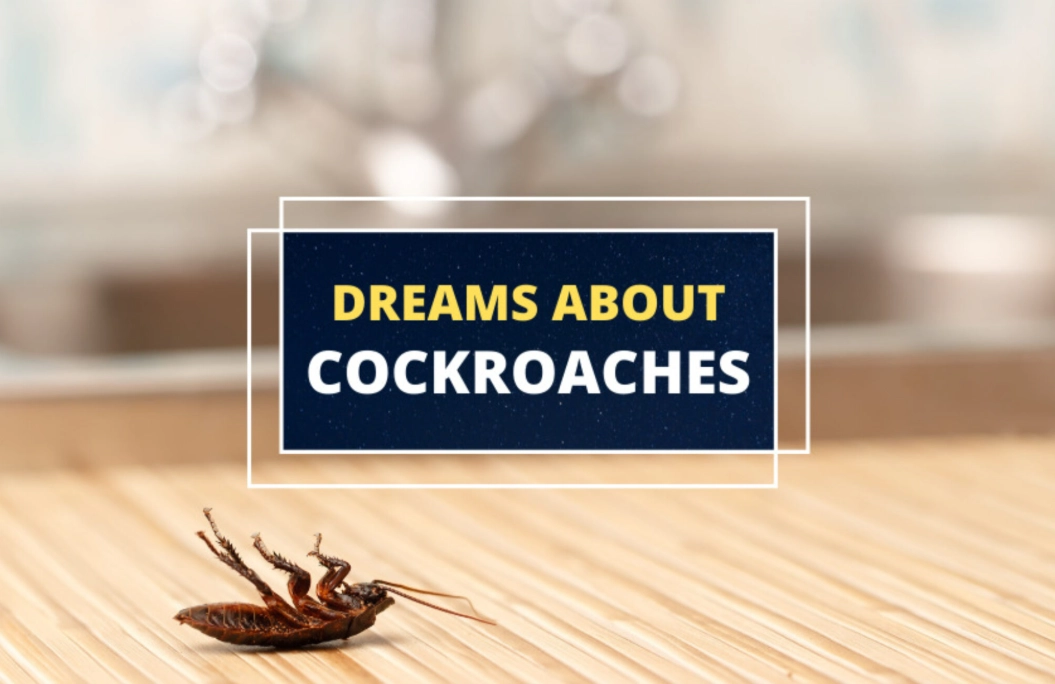 cockroach dream meaning