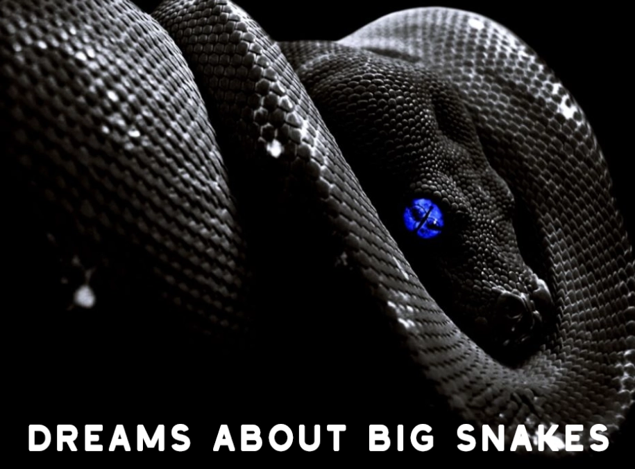 spiritual meaning of snakes spiritual meaning of snakes