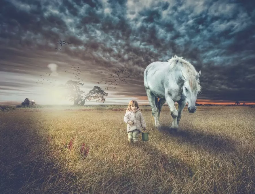 horse dream meaning horse dream meaning