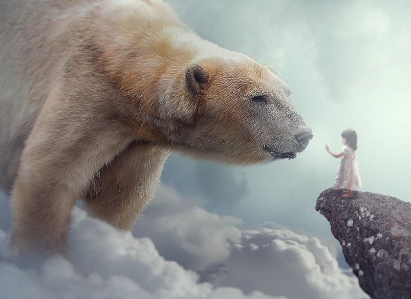 dream about polar bear