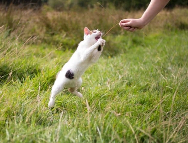 nightmare meaning nightmare meaning