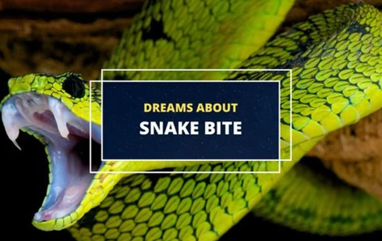 dream interpretation of snake bite
