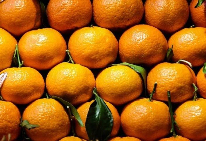 orange dream interpretation orange dream interpretation