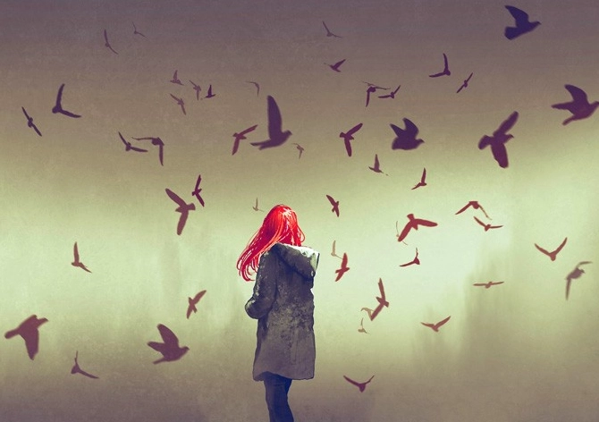 bird dream meaning bird dream meaning