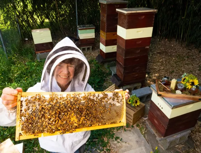 dream interpretation friends from the past dream interpretation friends from the past