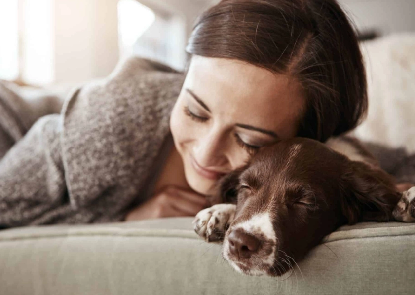 dog dream interpretation