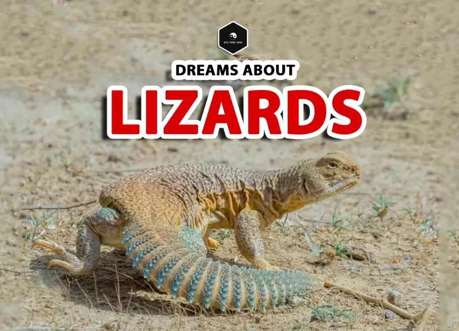 dream meaning lizards