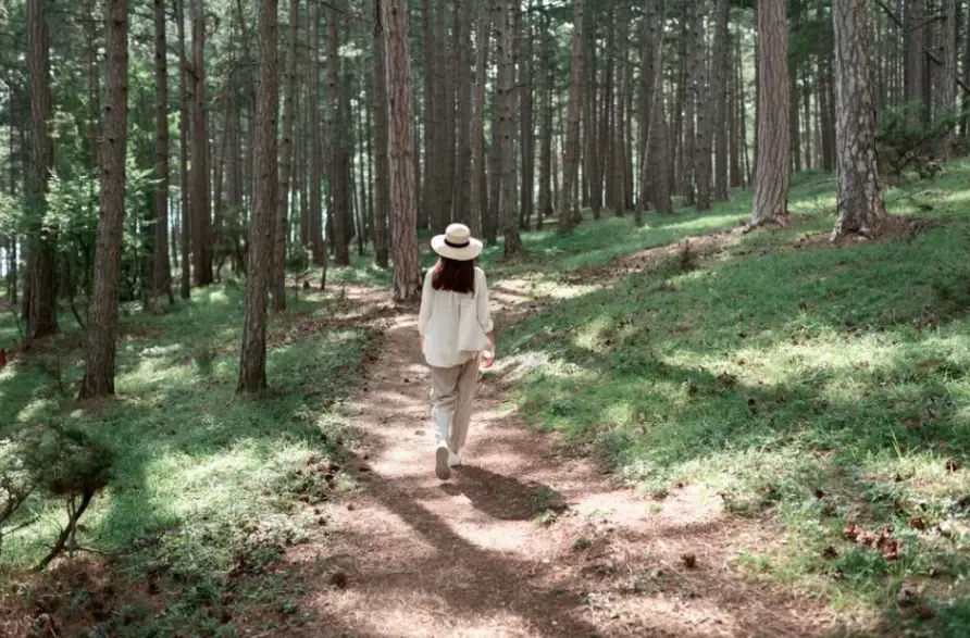 dream interpretation walking