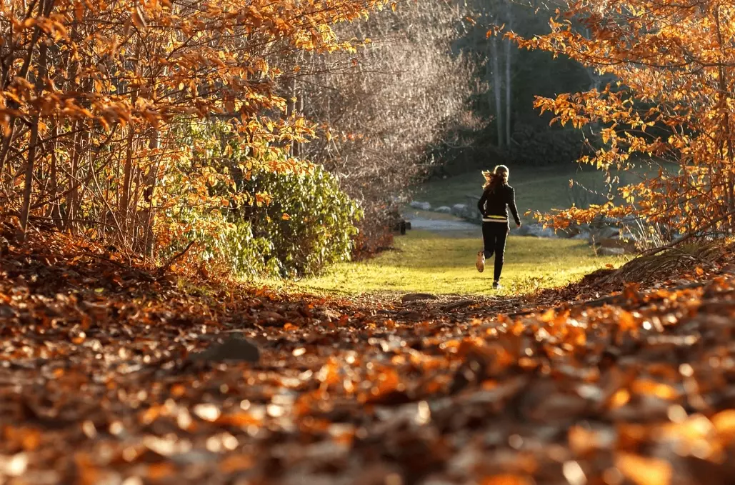 how to stop running in dreams