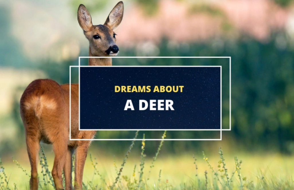 deer symbolism in dreams