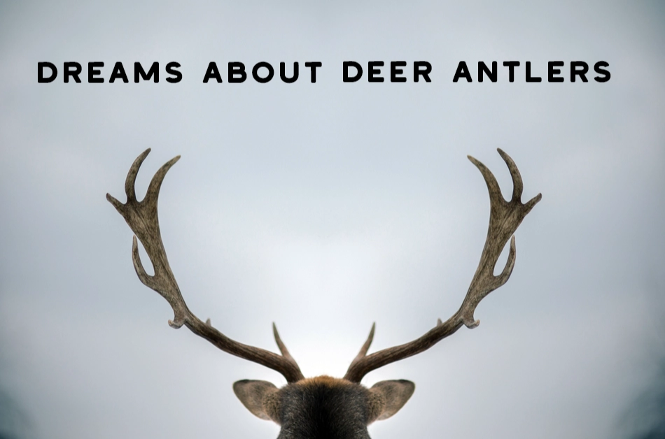 deer symbolism in dreams