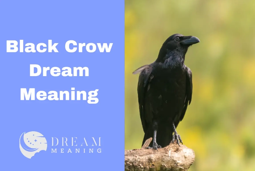 spiritual meaning of crow in dream
