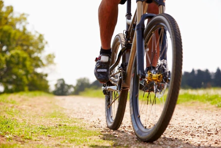 common dreams common dreams