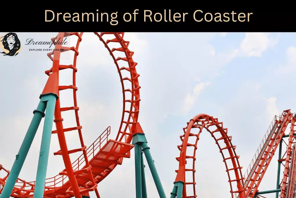 roller coaster dream interpretation roller coaster dream interpretation