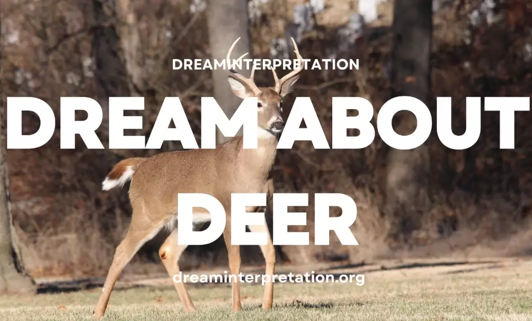 deer symbolism in dreams