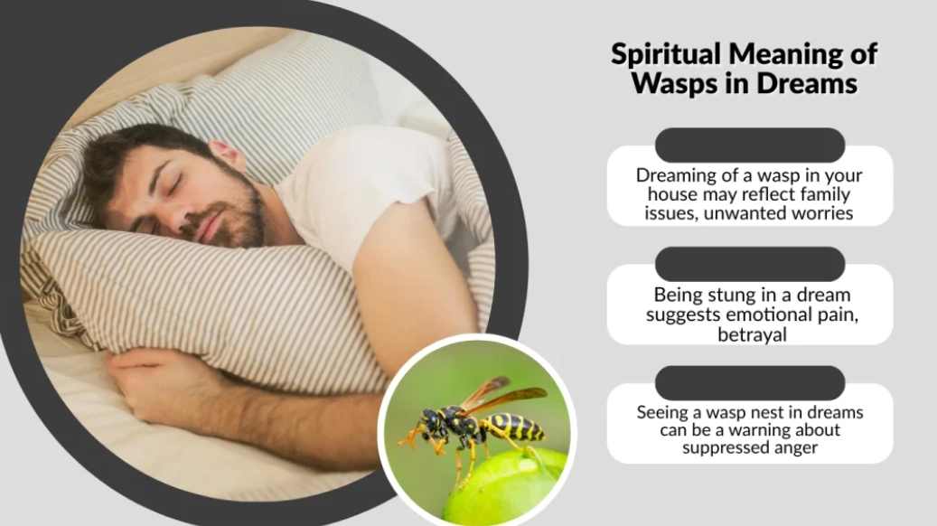 wasp sting dream interpretation wasp sting dream interpretation