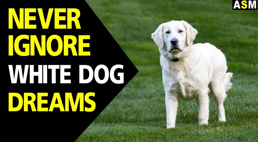 spiritual meaning of white dog in dream