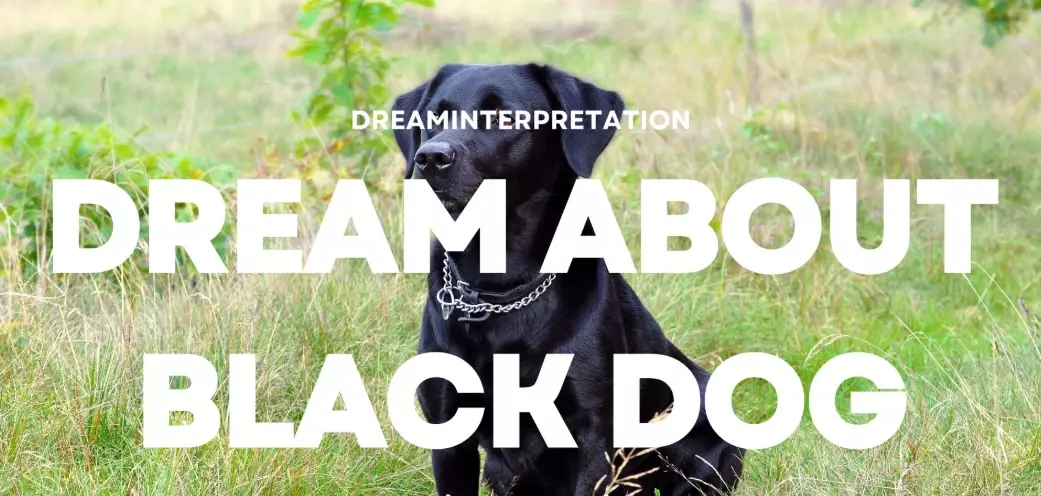 spiritual meaning of black dog
