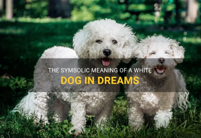 meaning of white dog in dream