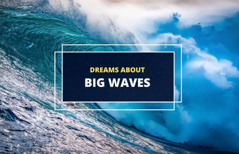 dreaming with big waves