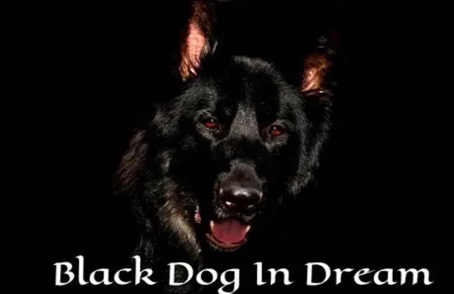 dream of black dog