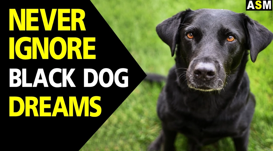 black dog dream meaning