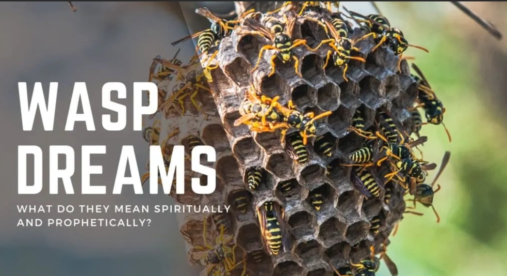 wasp dream meaning