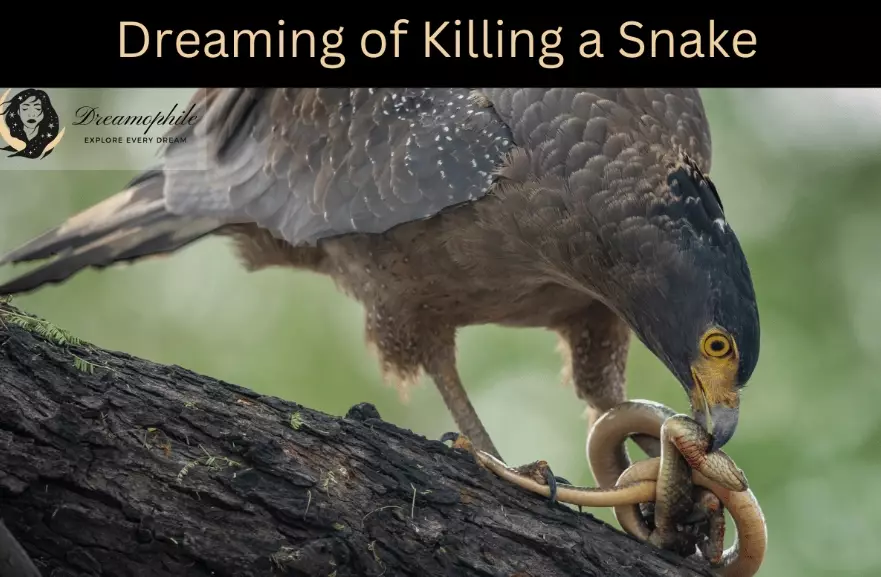 is killing a snake a good dream is killing a snake a good dream