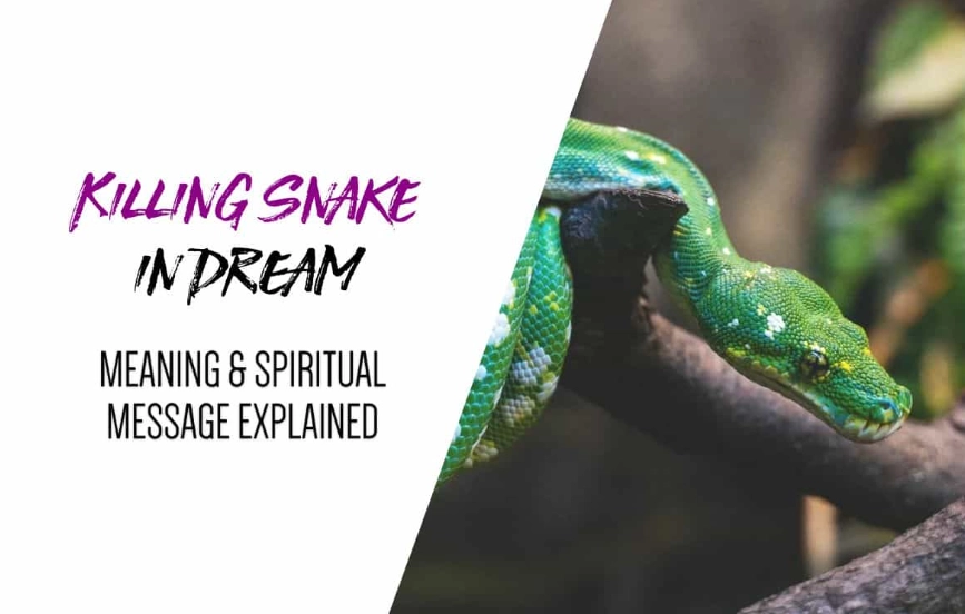 is killing a snake a good dream is killing a snake a good dream